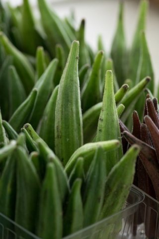 Okra