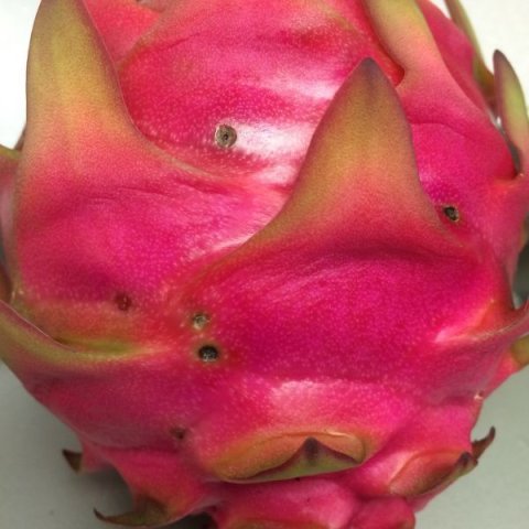 Dragon Fruit