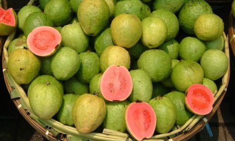 Guava